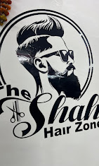 THE SHAH HAIR ZONE logo
